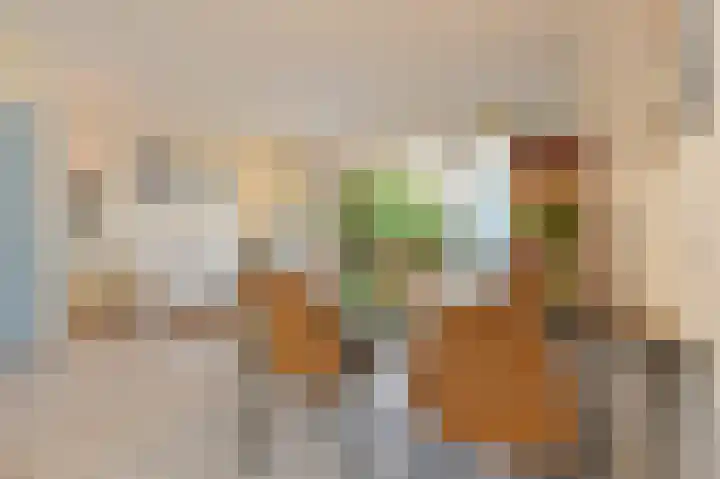 Saloméschouw 113 Zoetermeer thumbnail 13