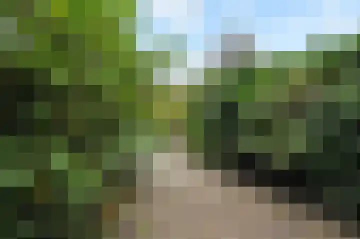 Saloméschouw 113 Zoetermeer thumbnail 18