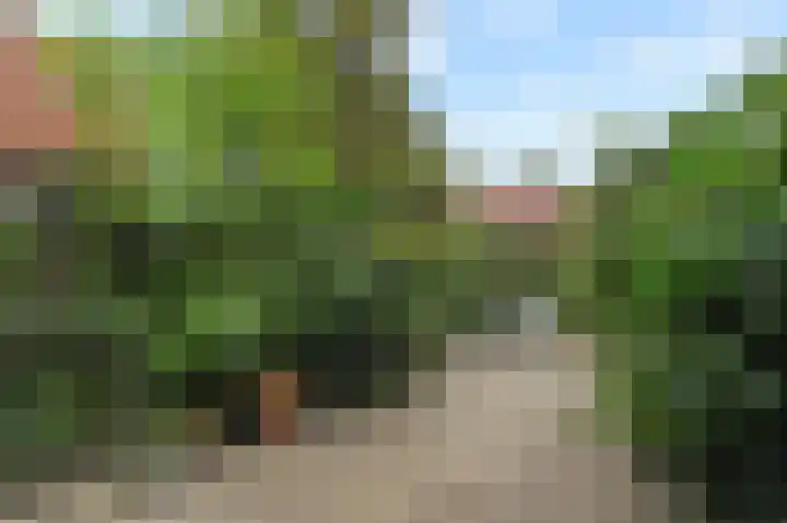 Saloméschouw 113 Zoetermeer thumbnail 19