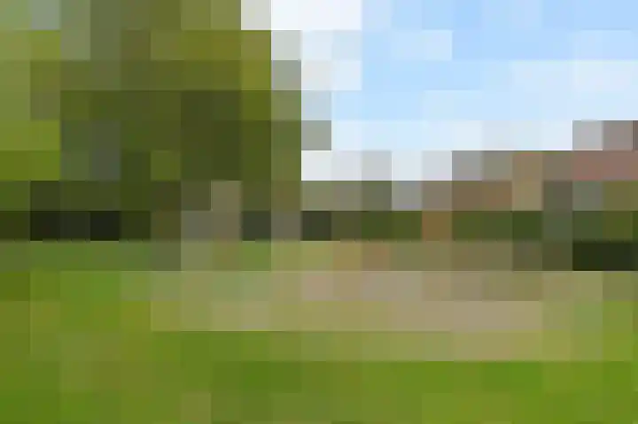 Saloméschouw 113 Zoetermeer thumbnail 22