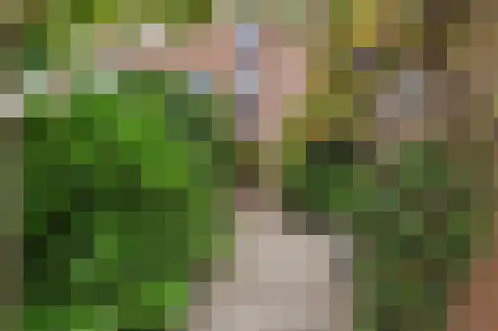Saloméschouw 113 Zoetermeer thumbnail 23