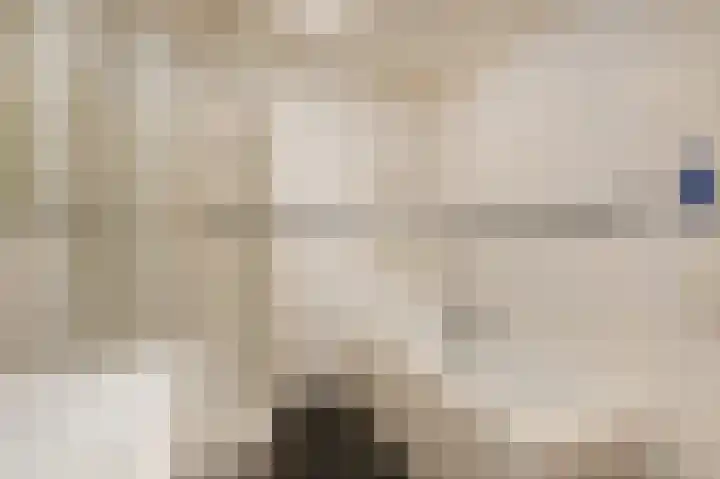 Saloméschouw 113 Zoetermeer thumbnail 30