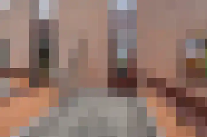 Saloméschouw 113 Zoetermeer thumbnail 36