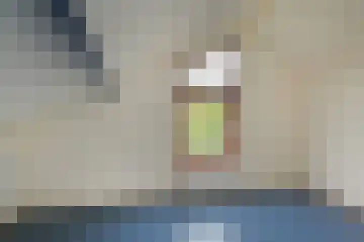 Saloméschouw 113 Zoetermeer thumbnail 39