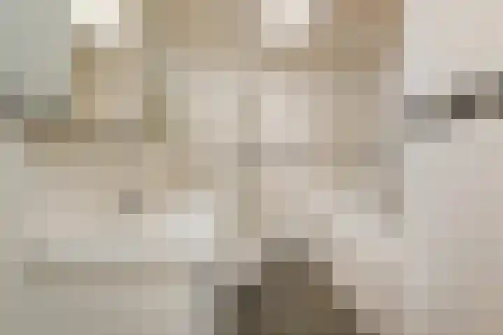 Saloméschouw 113 Zoetermeer thumbnail 4
