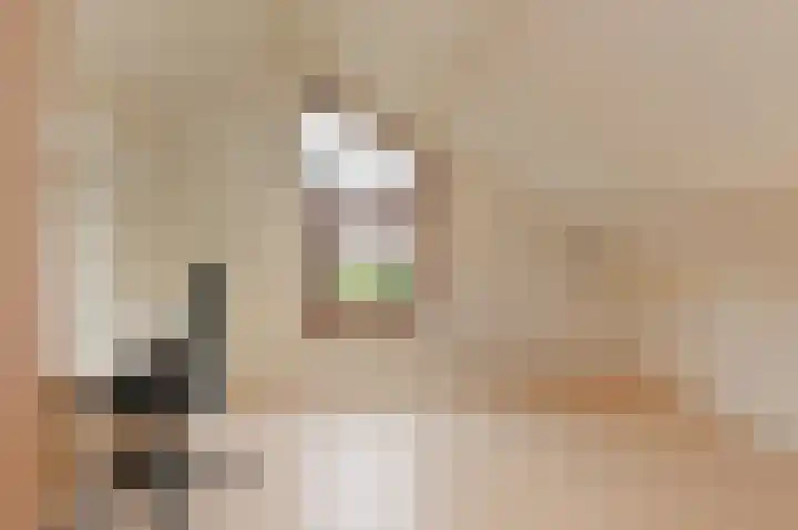Saloméschouw 113 Zoetermeer thumbnail 42