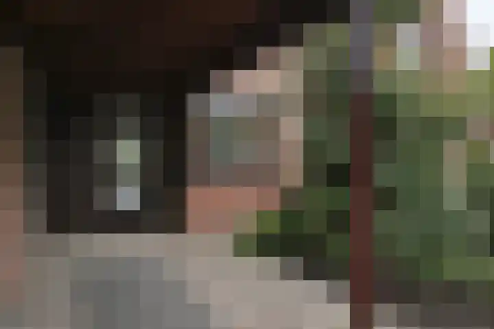 Saloméschouw 113 Zoetermeer thumbnail 46