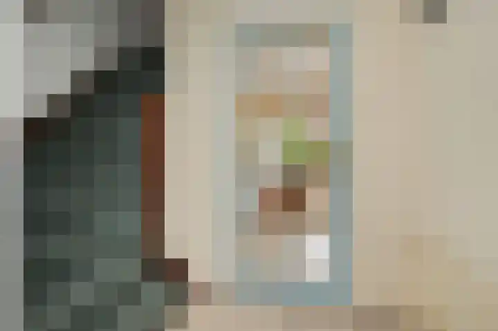 Saloméschouw 113 Zoetermeer thumbnail 7