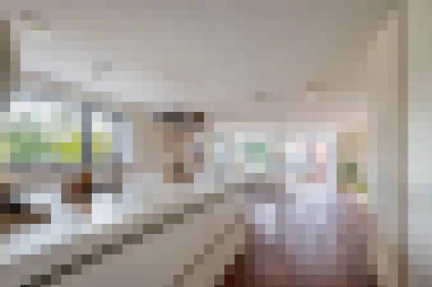 Saloméschouw 18 Zoetermeer thumbnail 11