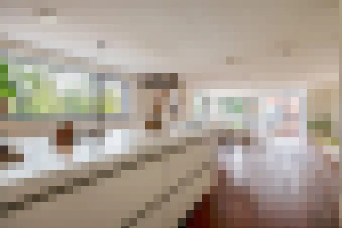 Saloméschouw 18 Zoetermeer thumbnail 12