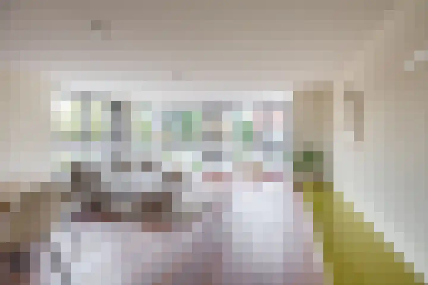 Saloméschouw 18 Zoetermeer thumbnail 14