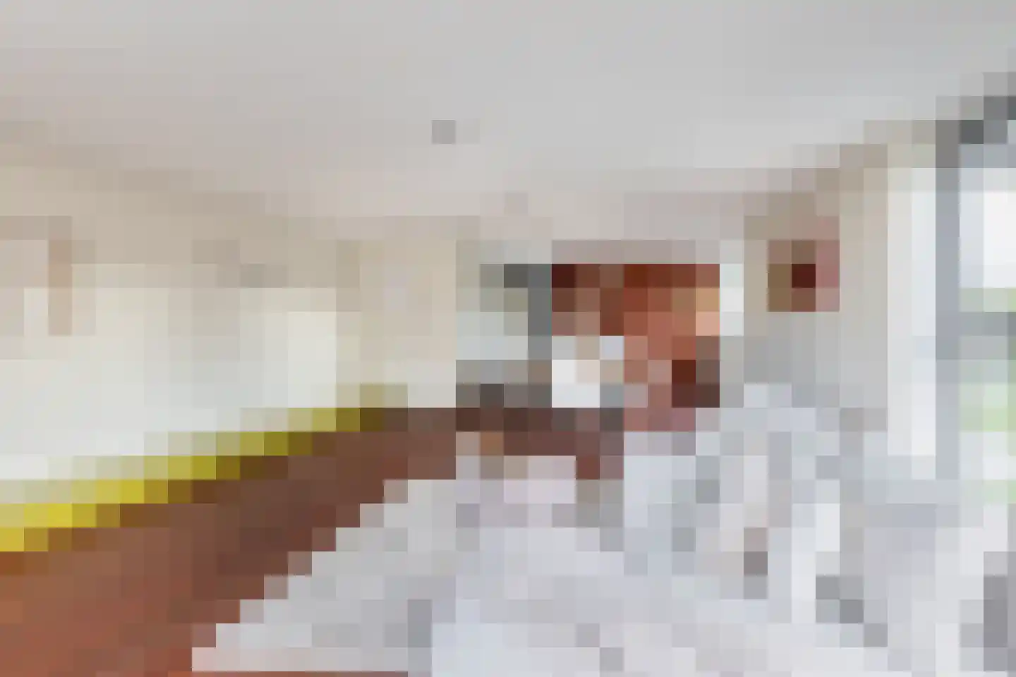 Saloméschouw 18 Zoetermeer thumbnail 16