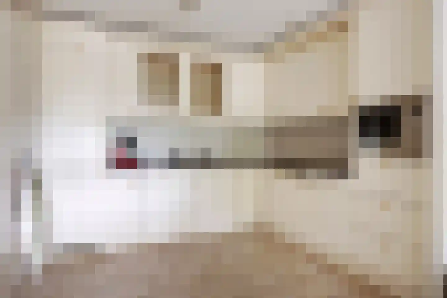 Saloméschouw 2 Zoetermeer thumbnail 16