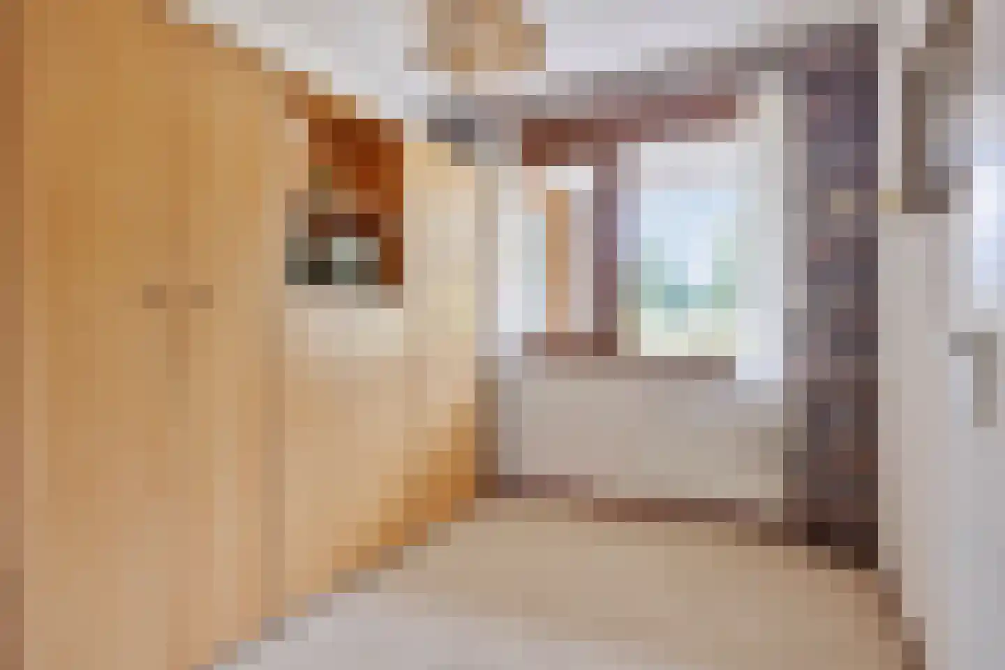 Saloméschouw 2 Zoetermeer thumbnail 18
