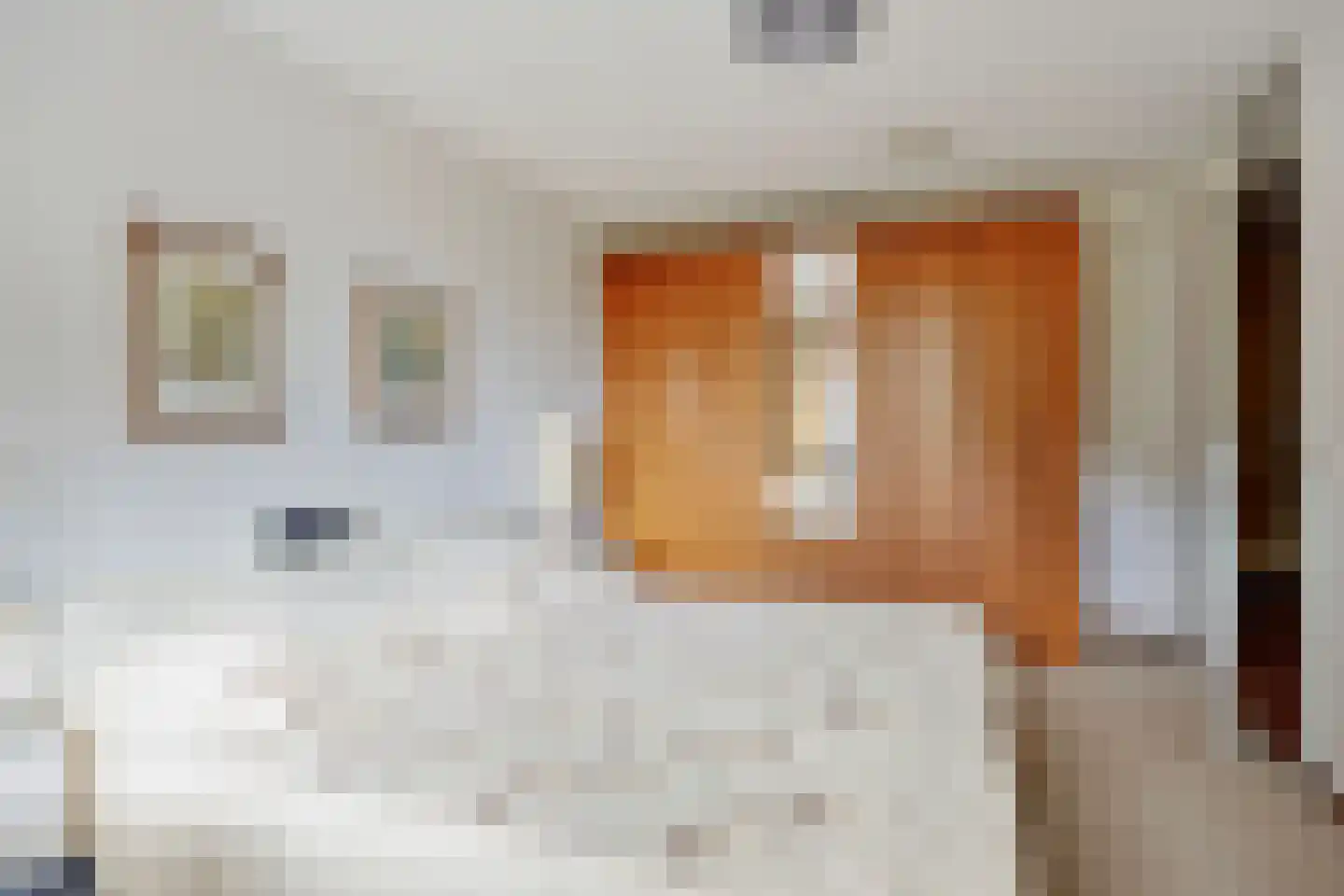 Saloméschouw 2 Zoetermeer thumbnail 22