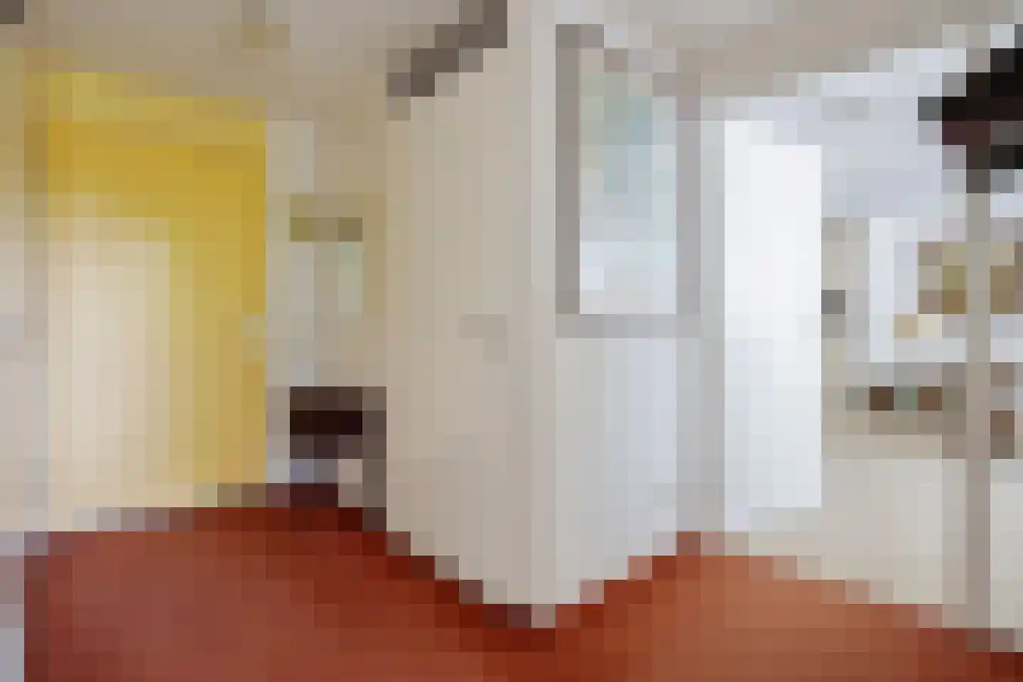 Saloméschouw 2 Zoetermeer thumbnail 31