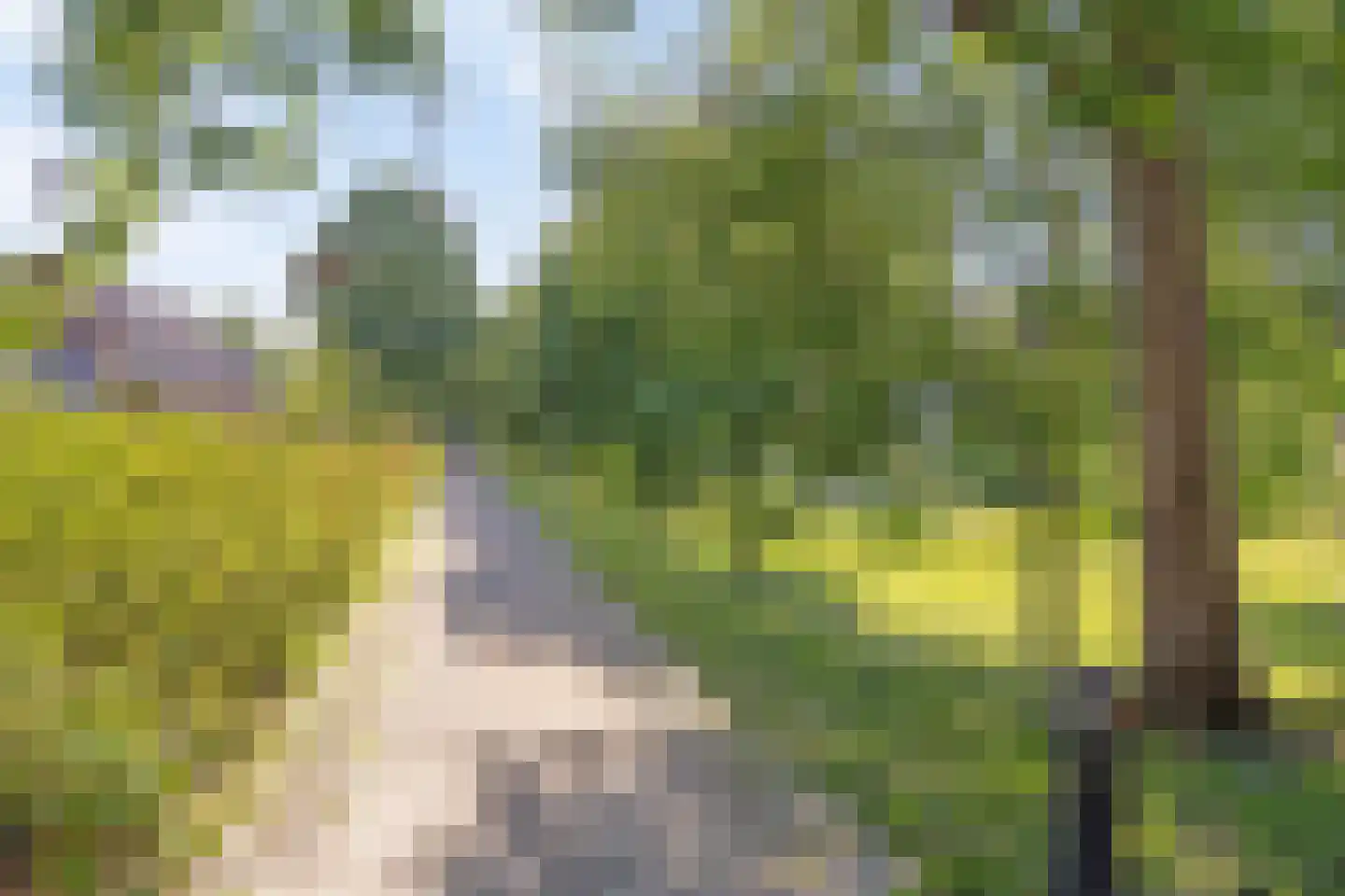Saloméschouw 2 Zoetermeer thumbnail 39