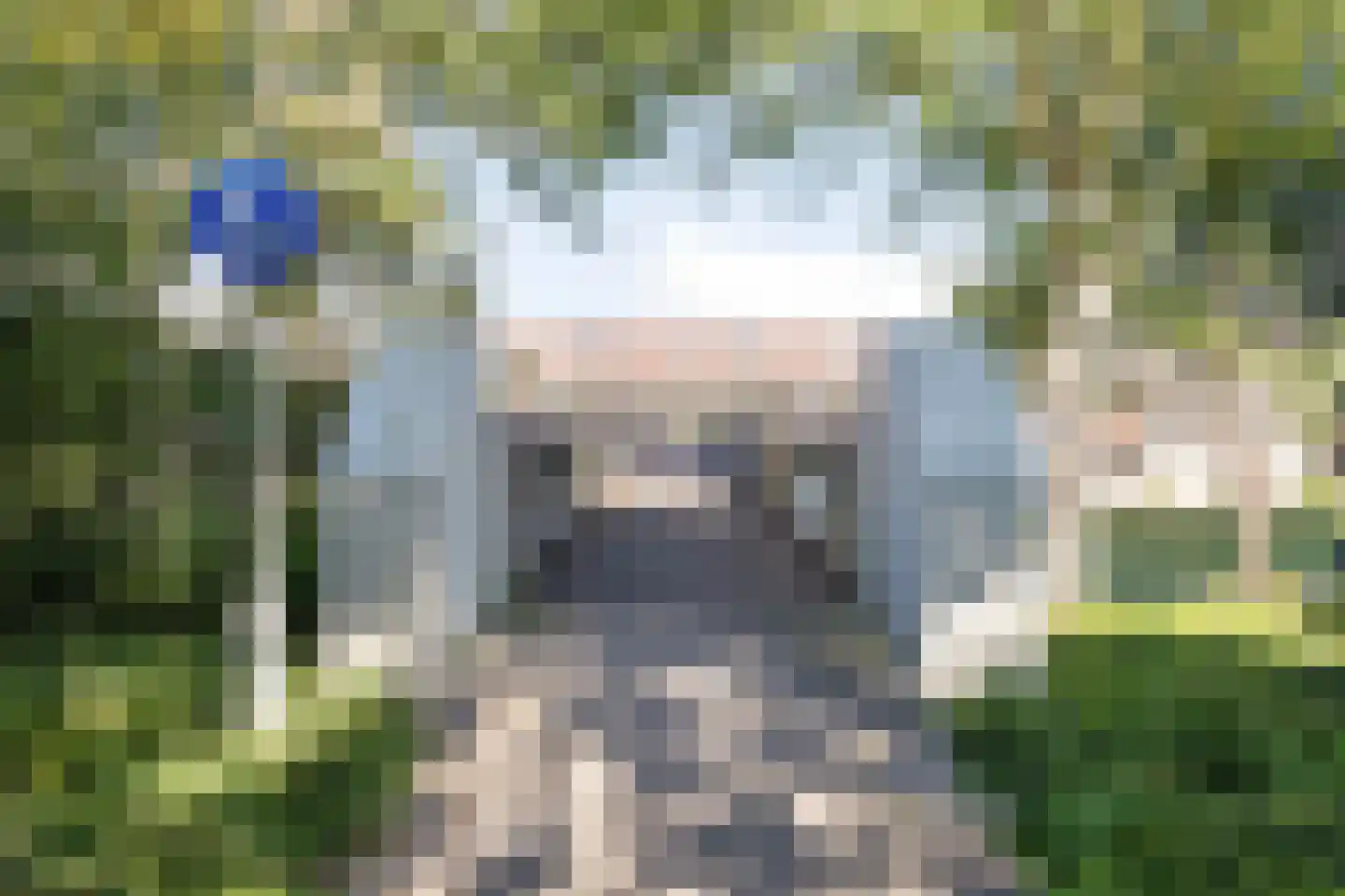 Saloméschouw 2 Zoetermeer thumbnail 40