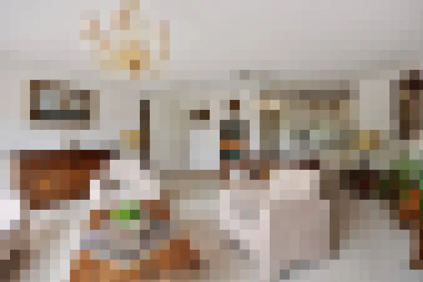 Saloméschouw 2 Zoetermeer thumbnail 8