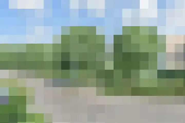Saloméschouw 29 Zoetermeer thumbnail 12