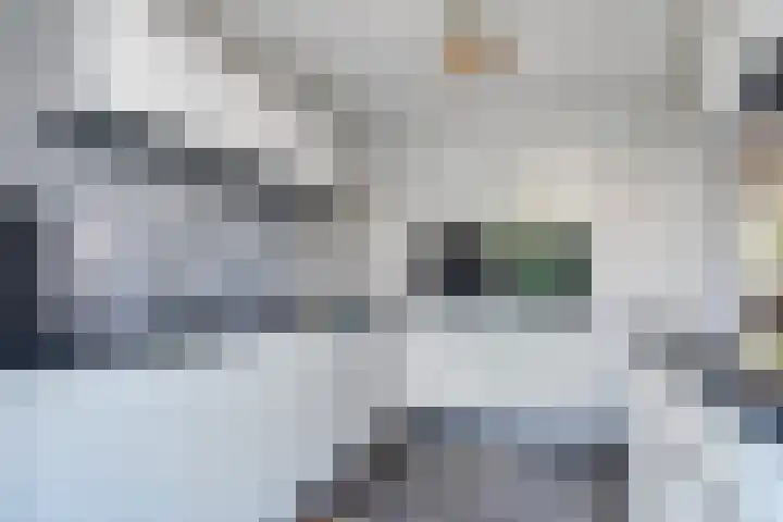 Saloméschouw 29 Zoetermeer thumbnail 13