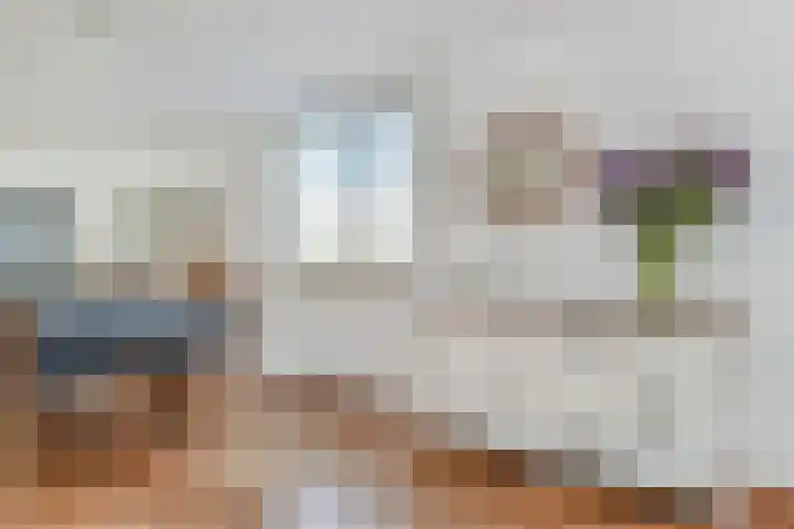 Saloméschouw 29 Zoetermeer thumbnail 15