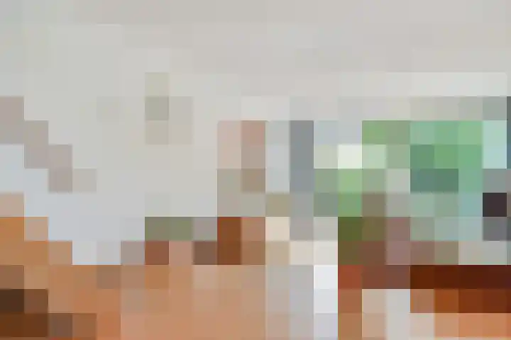Saloméschouw 29 Zoetermeer thumbnail 17