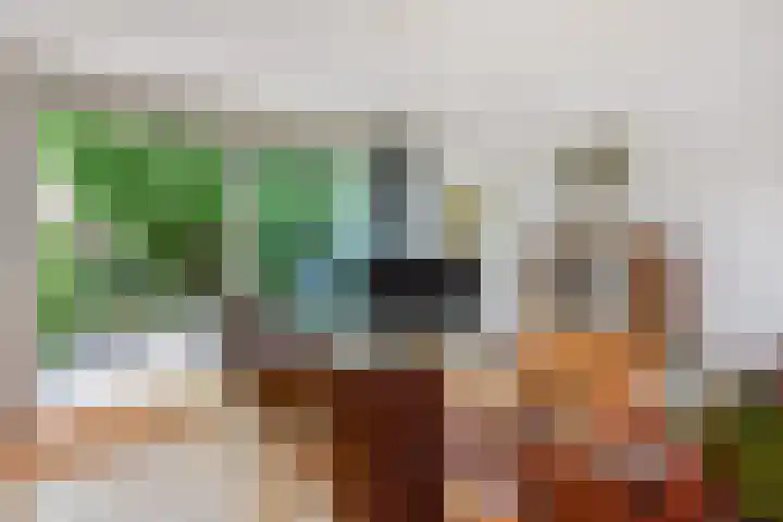 Saloméschouw 29 Zoetermeer thumbnail 19