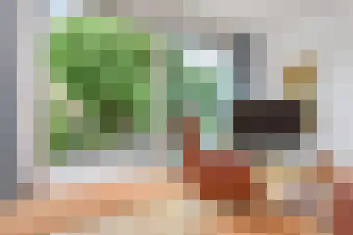 Saloméschouw 29 Zoetermeer thumbnail 20