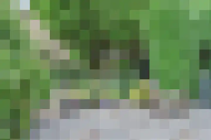 Saloméschouw 29 Zoetermeer thumbnail 23