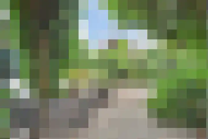 Saloméschouw 29 Zoetermeer thumbnail 24