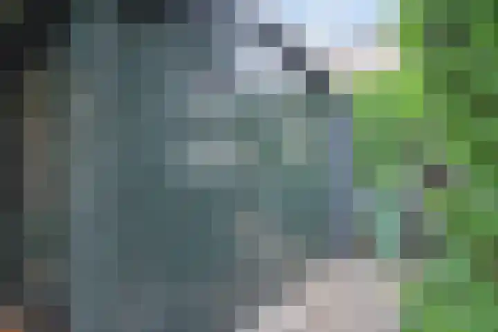 Saloméschouw 29 Zoetermeer thumbnail 27