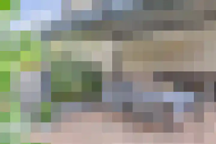 Saloméschouw 29 Zoetermeer thumbnail 33