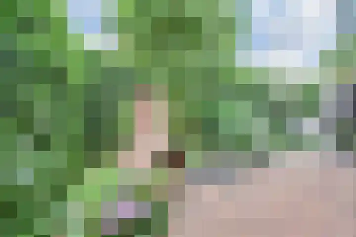 Saloméschouw 29 Zoetermeer thumbnail 34