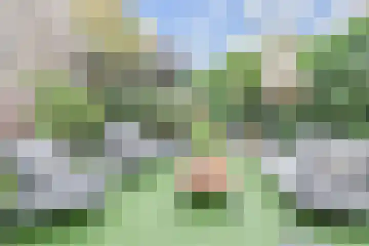 Saloméschouw 29 Zoetermeer thumbnail 35