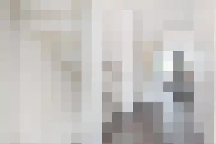 Saloméschouw 29 Zoetermeer thumbnail 42