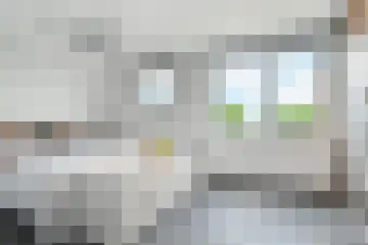 Saloméschouw 29 Zoetermeer thumbnail 43
