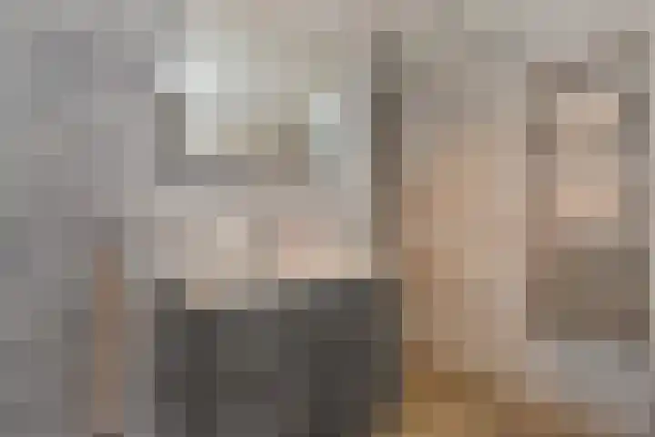 Saloméschouw 29 Zoetermeer thumbnail 49