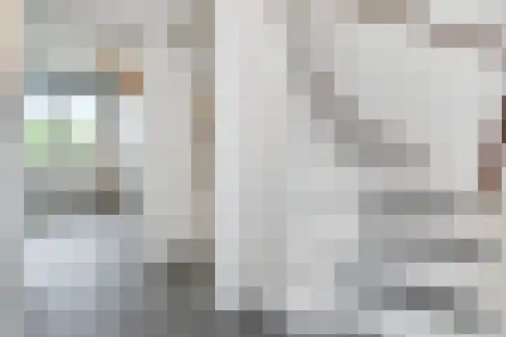 Saloméschouw 29 Zoetermeer thumbnail 51