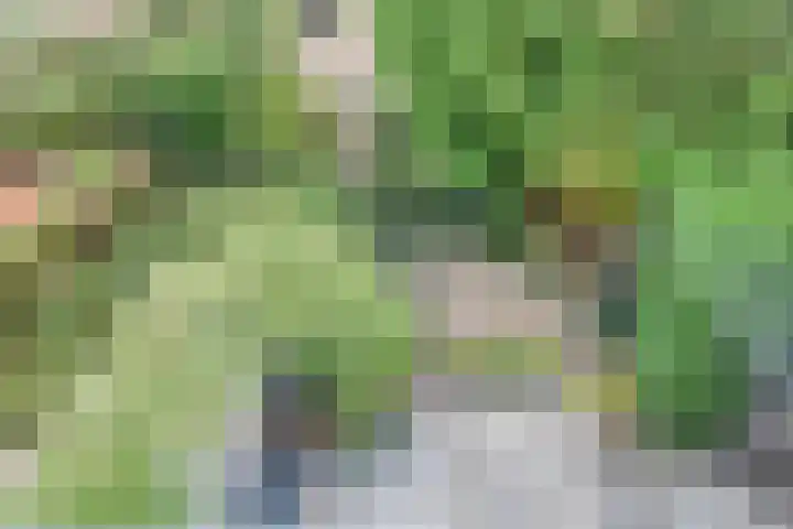 Saloméschouw 29 Zoetermeer thumbnail 54