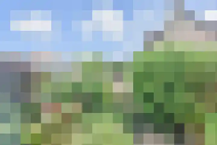 Saloméschouw 29 Zoetermeer thumbnail 55