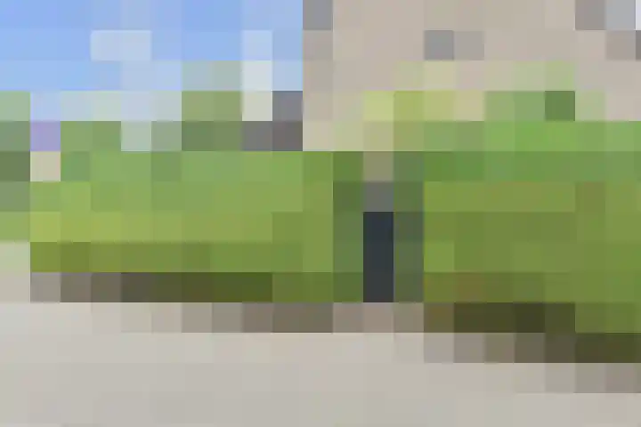 Saloméschouw 29 Zoetermeer thumbnail 68