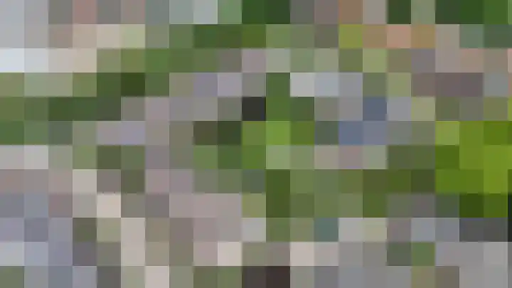 Saloméschouw 29 Zoetermeer thumbnail 71