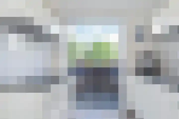 Saloméschouw 29 Zoetermeer thumbnail 9