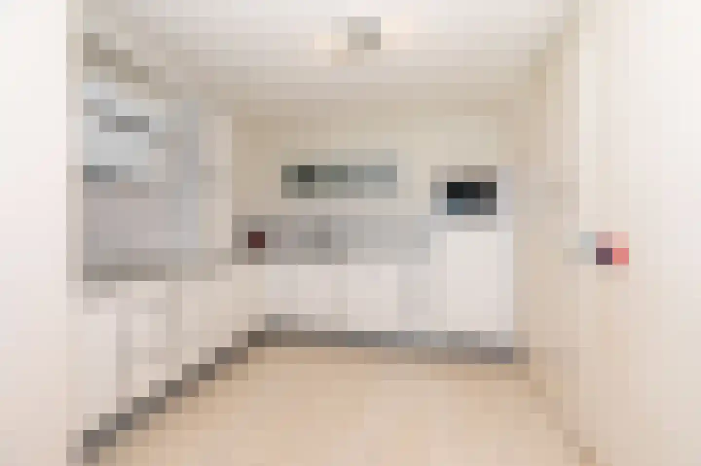 Saloméschouw 48 Zoetermeer thumbnail 12