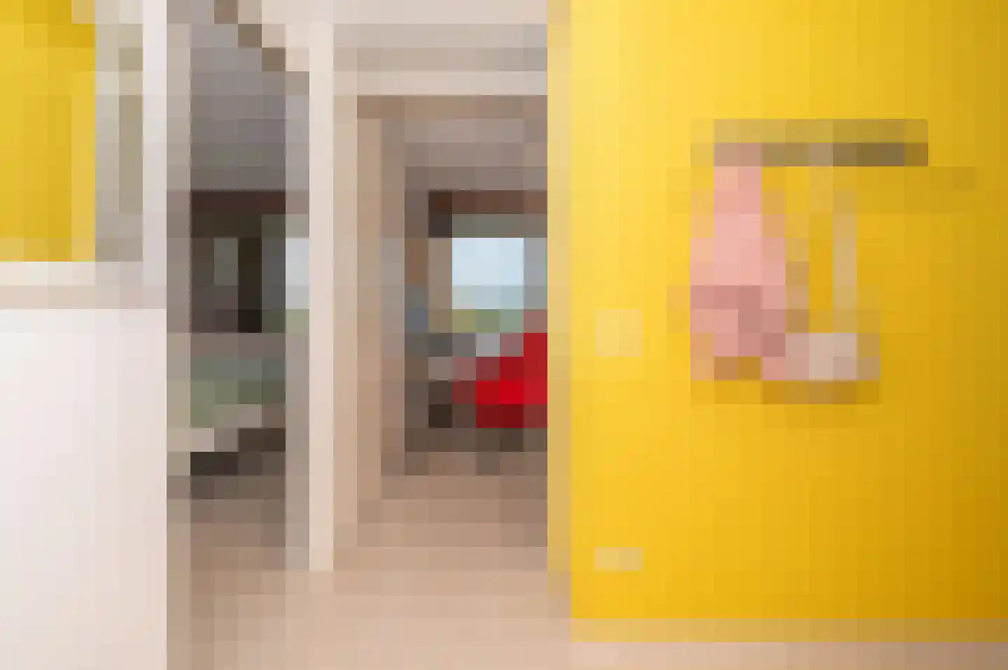 Saloméschouw 48 Zoetermeer thumbnail 14