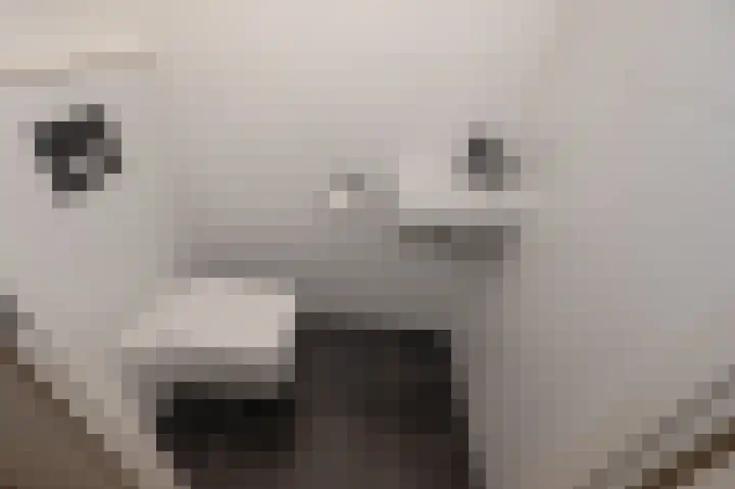 Saloméschouw 48 Zoetermeer thumbnail 21