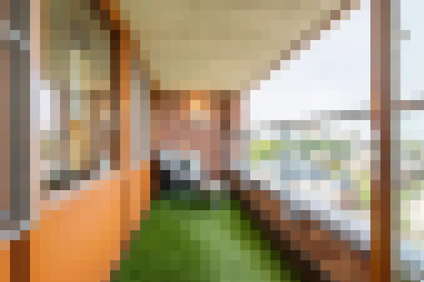 Saloméschouw 48 Zoetermeer thumbnail 8