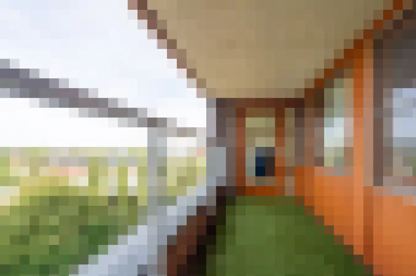 Saloméschouw 48 Zoetermeer thumbnail 9