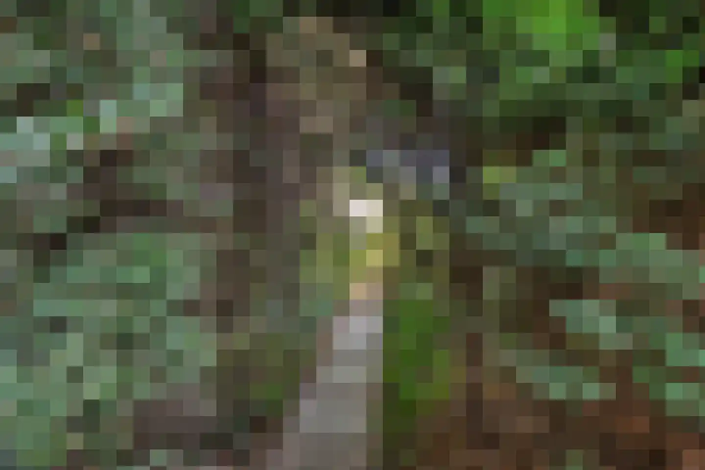 Salomon Huygenslaan 5 Katwijk thumbnail 31